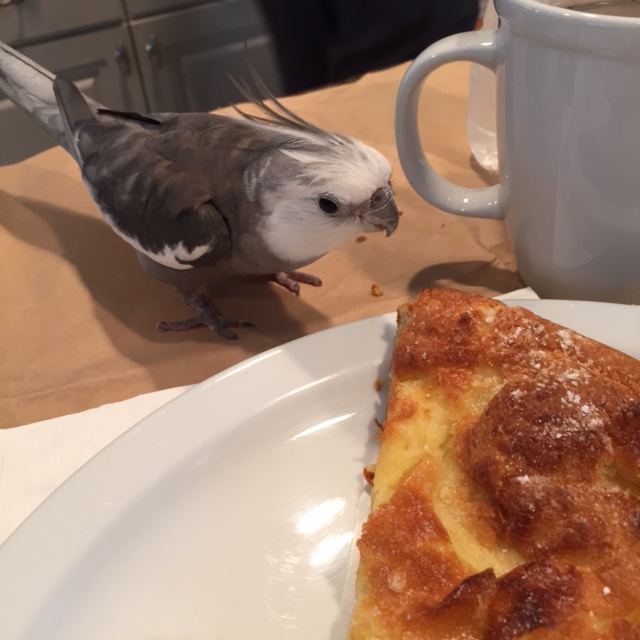 A "Dutch Pancake," Grandma? For me? 