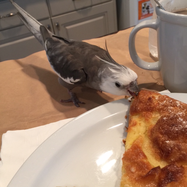 You need my sensitive palate to verify that all flavor levels are at peak?