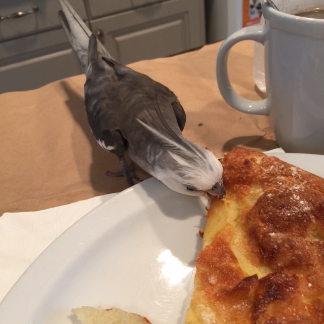 It tastes exactly like a cross between a waffle and a pizza. What an excellent dish!