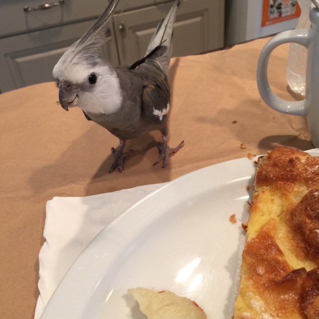 A "modeling shoot?" Right now? What happened to "wiggle room" in my calendar, Mom? Surely there's an app for that!