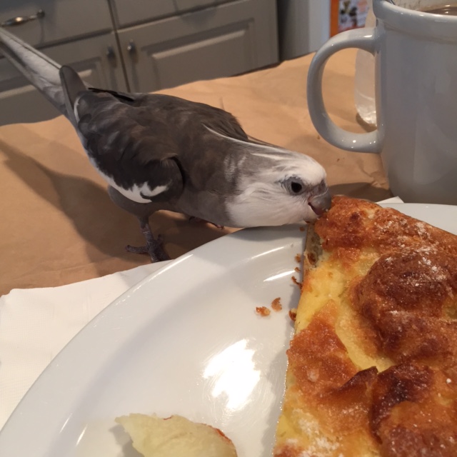 This "crusty" area is more like the pizza part.