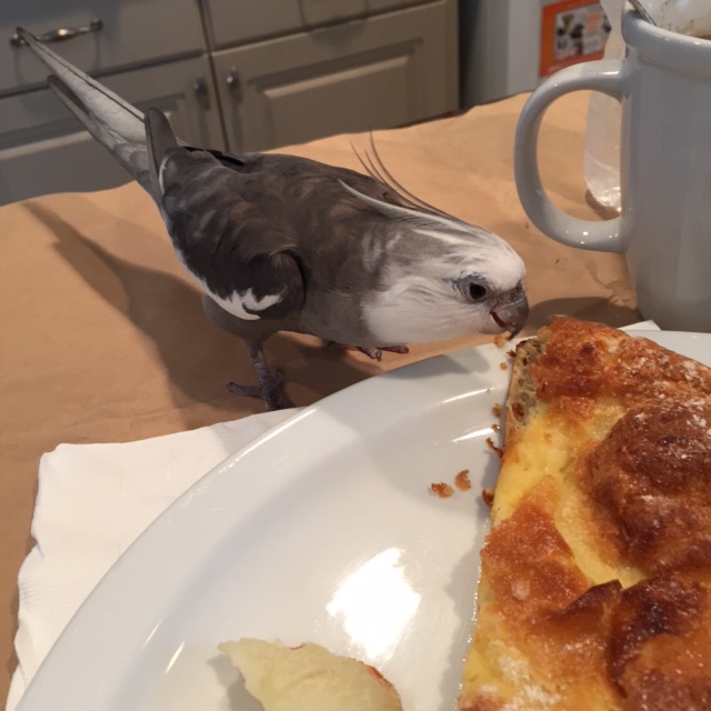 What's that you say? You are honored I am your first diner? The honor is all mine - I assure you!