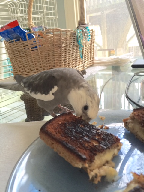 Little does she know....