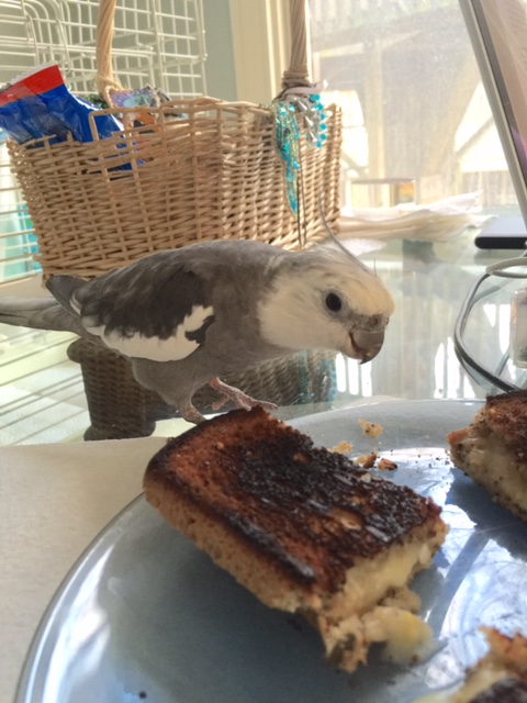 Mom thinks I can't look at her and at the cheesier at the same time. 