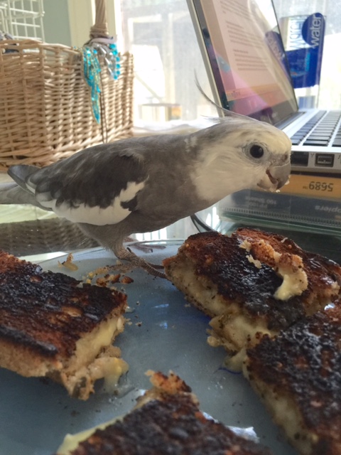 In fact, I can consume my portion (well, technically they are all "my portion") and her portion and she still won't figure it out.