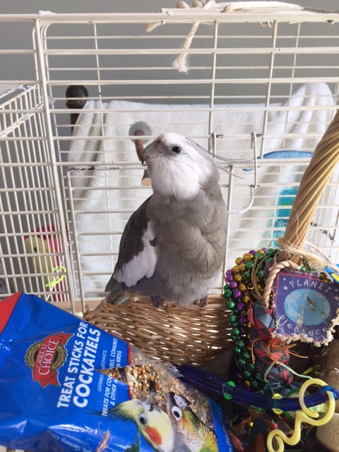 Where is my large featherless photography assistant? Oh, there you are, Mom - I'm ready!