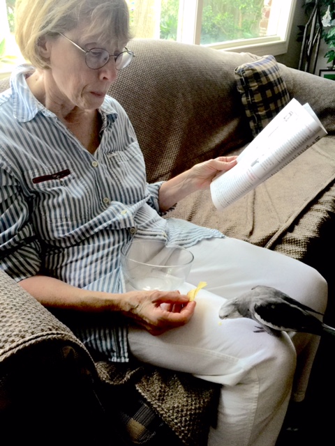 Don't mind at all if I do!