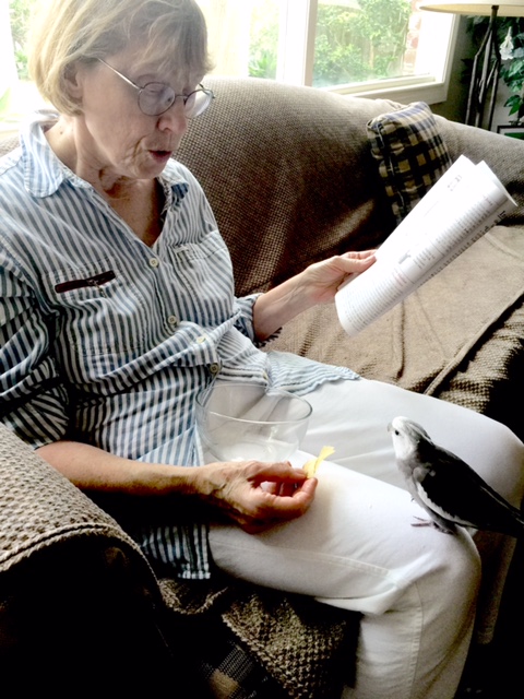 Hi Grandma. I see you have the last morsel from the flock feeding dish.
