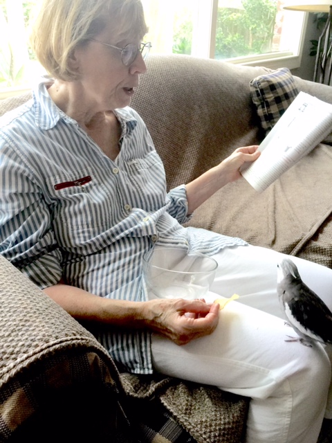 (Avian throat clearing).