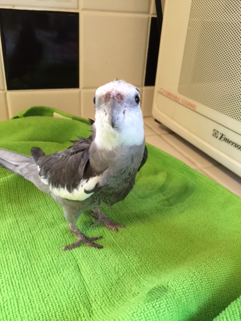 Hmmm. Must've been a false alarm.