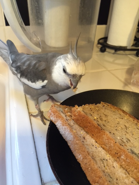 Nom nom nom....what's that you say? You signed? Good.