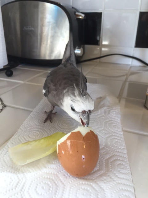 And try not to look so delicious, okay? I need to concentrate.