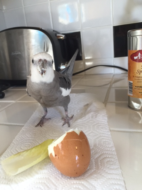 Well I know, Mom, and if you'd toasted up that waffle like I asked for earlier....