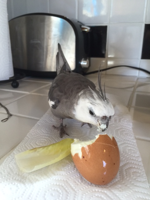 Gripping, don't you think?