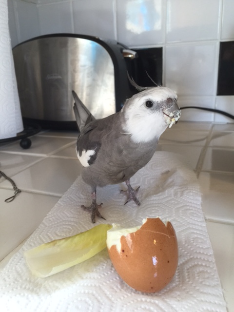What's that, Mom? A snack break? Thought you'd never ask!