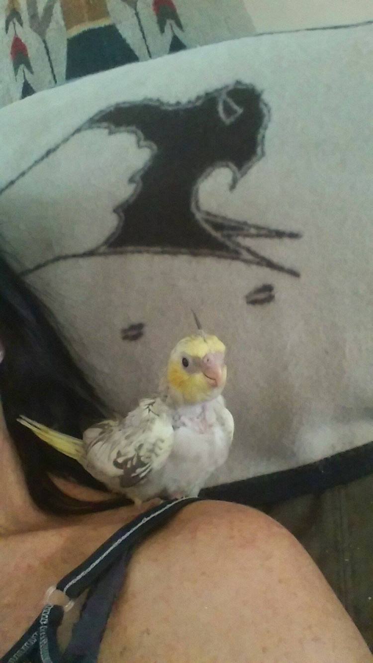 But still, something in my logic doesn't quite add up. I may be small, but I feel.....