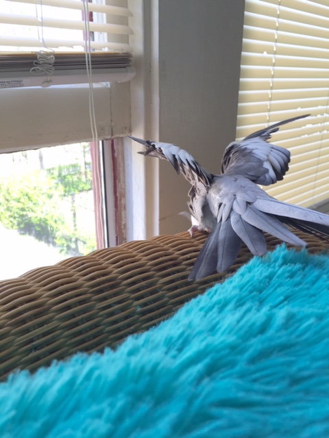 Oh yeah, I got it....