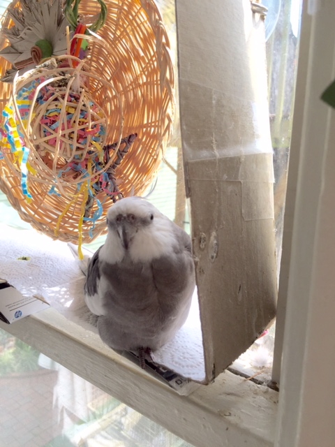 She hasn't moved. At all.