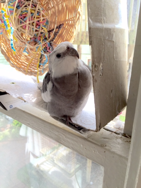 Hi Mom - okay, just one photo, and then I'm going to take a restful nap.