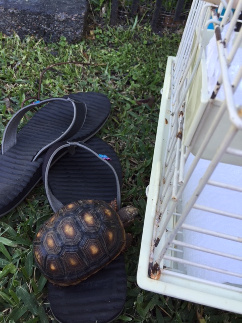 Yup - and she rates a "10" on the "clueless" scale too - even better.