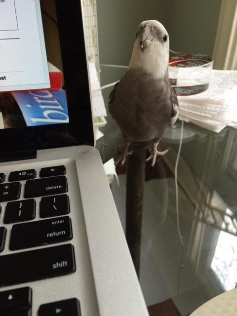 Okay, get ready to soak it in and feel better!