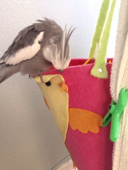 The nest exterior is nice and clean, soft and cheery, very welcoming.