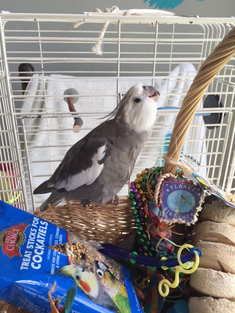 Once selected, you can extract the chosen strands with the consummate skill of a master "nest featherer."