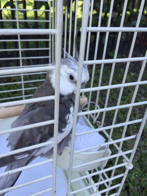 Oh, there you are, Mom - I'm almost done primping for my shoot.