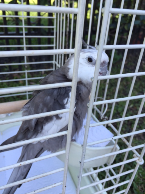 Wait a minute. Who is handling security? I can't handle security and pose too....we need a new recruit!