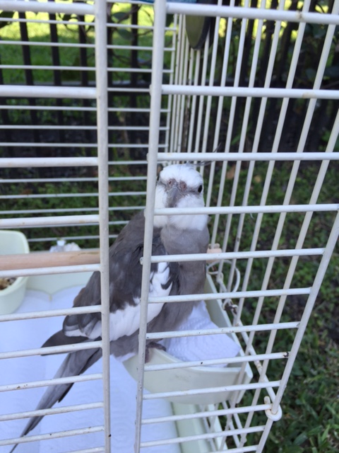 Having dedicated security also makes it easier to finish up the shoot without having to stop every five minutes to chase away paparazzi.