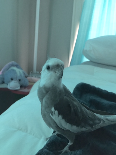 You want to do a modeling shoot here in the dark? 