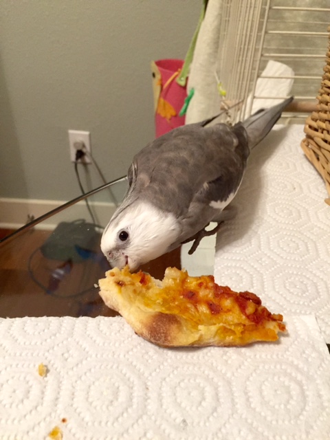 Okay, okay, Mom - just one more press photo!