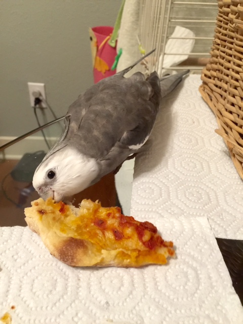 But first, my large featherless press secretary will take an official PR photo of us.