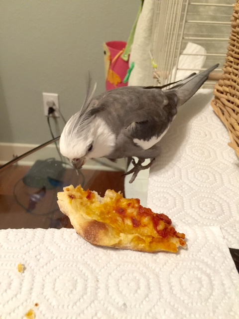 The most (um) seasoned pizza gourmands start by introducing themselves (it is only polite before you, er, dig in....)