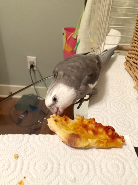 Now you can begin gently nibbling on the cheese, noticing its texture and flavor.