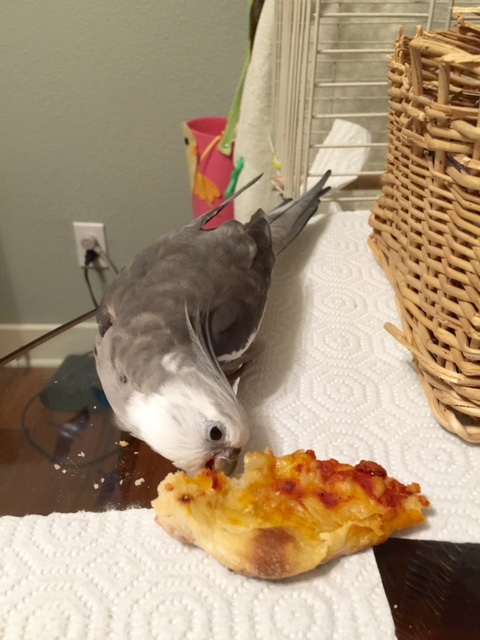 For an even texture and flavor profile, do this again from the opposite angle.