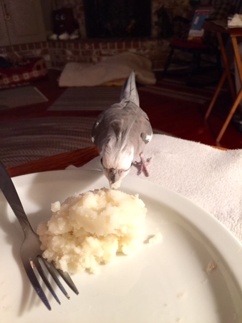 This technique is called "I think I love you" as, overcome by ardor, your smitten prey will keel right over, exposing its soft underbelly for your dining pleasure.