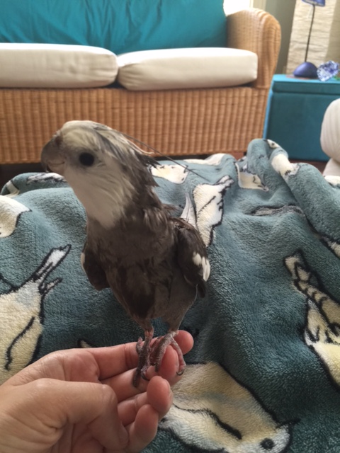 Wow Mom! You really hit the jackpot with location!