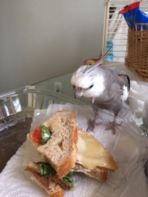 And you're sure all the other members are as tasty as you? Okay then, I'll join.