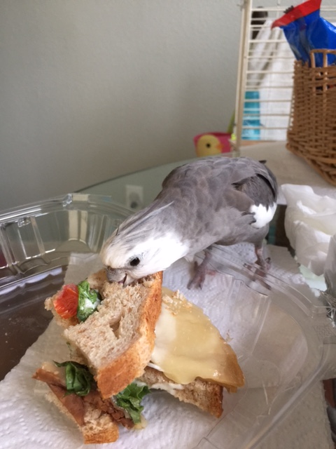 Nom nom nom nom nom....