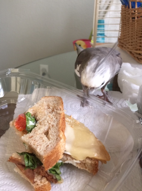 Oh, hello there. You are a member of the Veggie Club, you say? You want me to join?