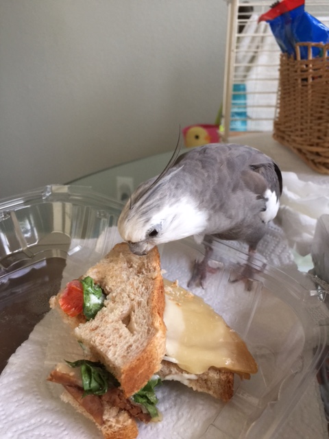 I can snack on the other members? Seriously?!