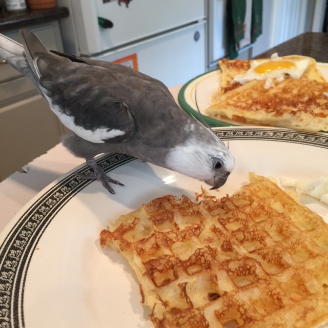 Ahhhh. This Buddy system is working out perfectly - just like I knew it would.