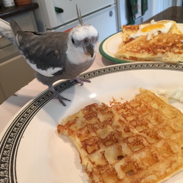 Thanks Grandpa! And I'll let you know as soon as I'm finished so you can dine next in line!