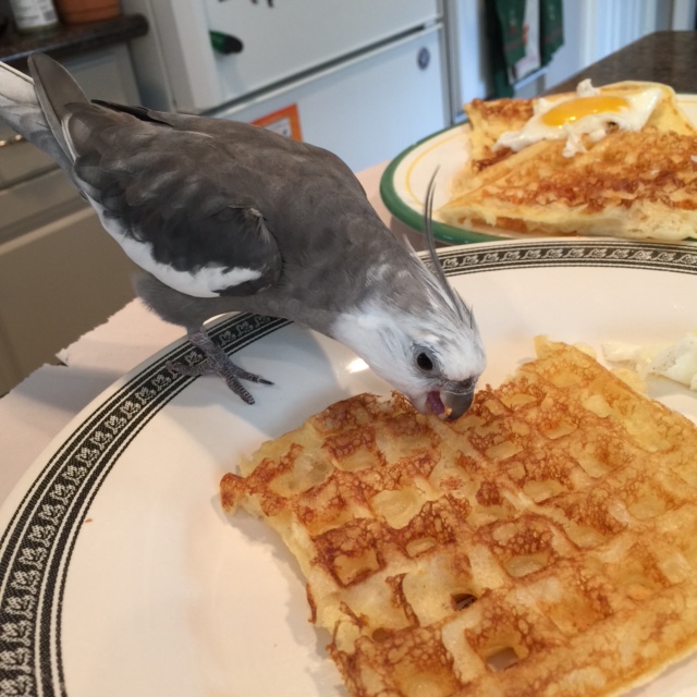 Although it might be awhile.....