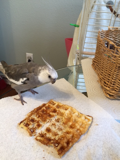 Okay, waffle, I feel full now. Thanks very much for a great dining experience.