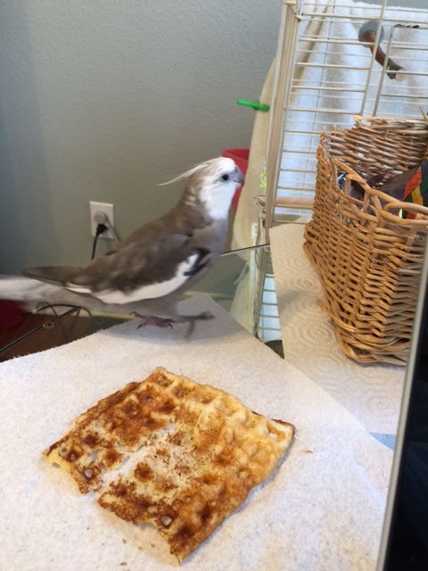 Okay, so first you walk over to your chosen post-dining destination (if you can choose a destination with wicker in it, this is ideal).