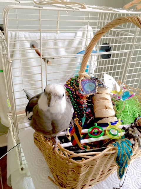 Voila! We are now in position to smoothly segue from the "dining" to the "digestion" phase.