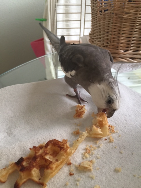 And if ever I am uncertain (which I never am) I can always do a taste test.