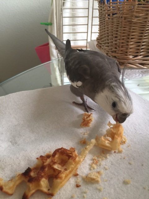 I seeeeeee youuuuuuu......